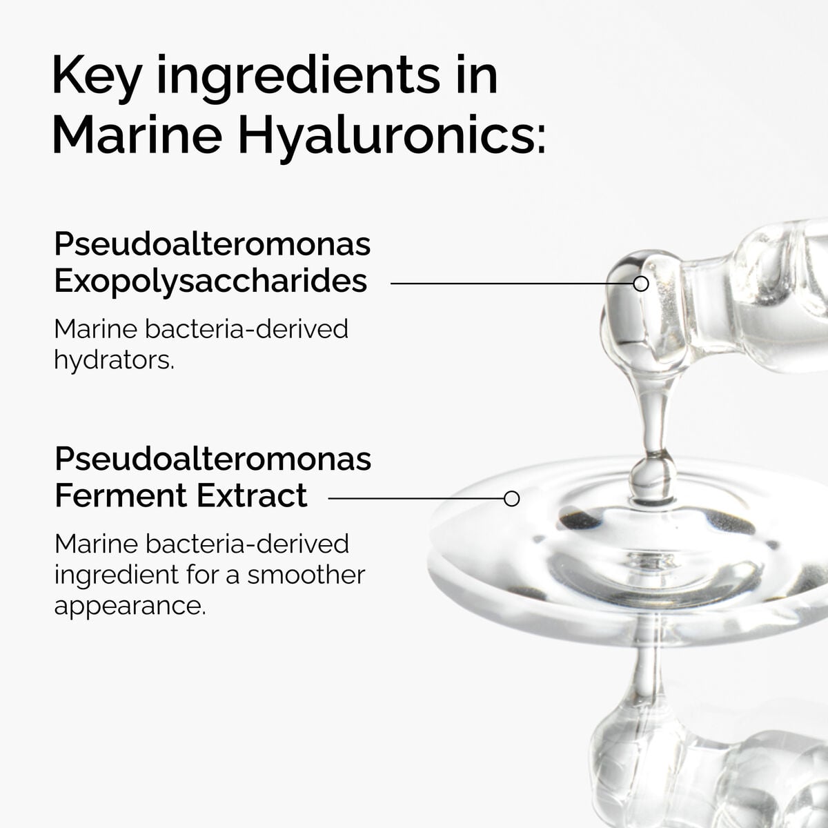 marine-hyaluronics-e6 FY25-D41247-ORD-Web-PDP-Marine-Hya-1x1-EN-2a.jpg
