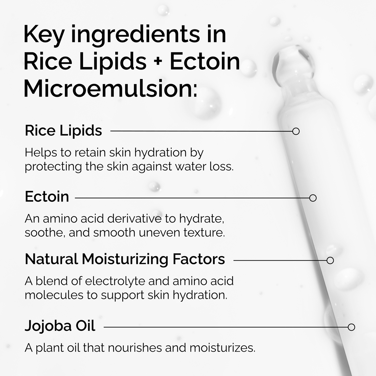 rice-lipids-ectoin-microemulsion-g5 ord-rice-lipids-ectoin-microemulsion-key-ingredients.png