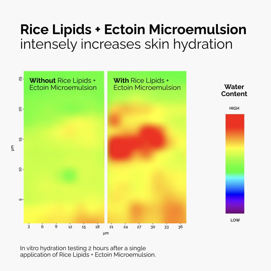 rice-lipids-ectoin-microemulsion-g5 ord-rice-lipids-ectoin-microemulsion-thermal-before-after.jpg